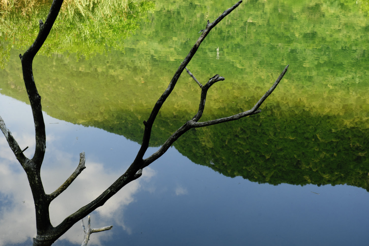 Dritta o sottosopra ?