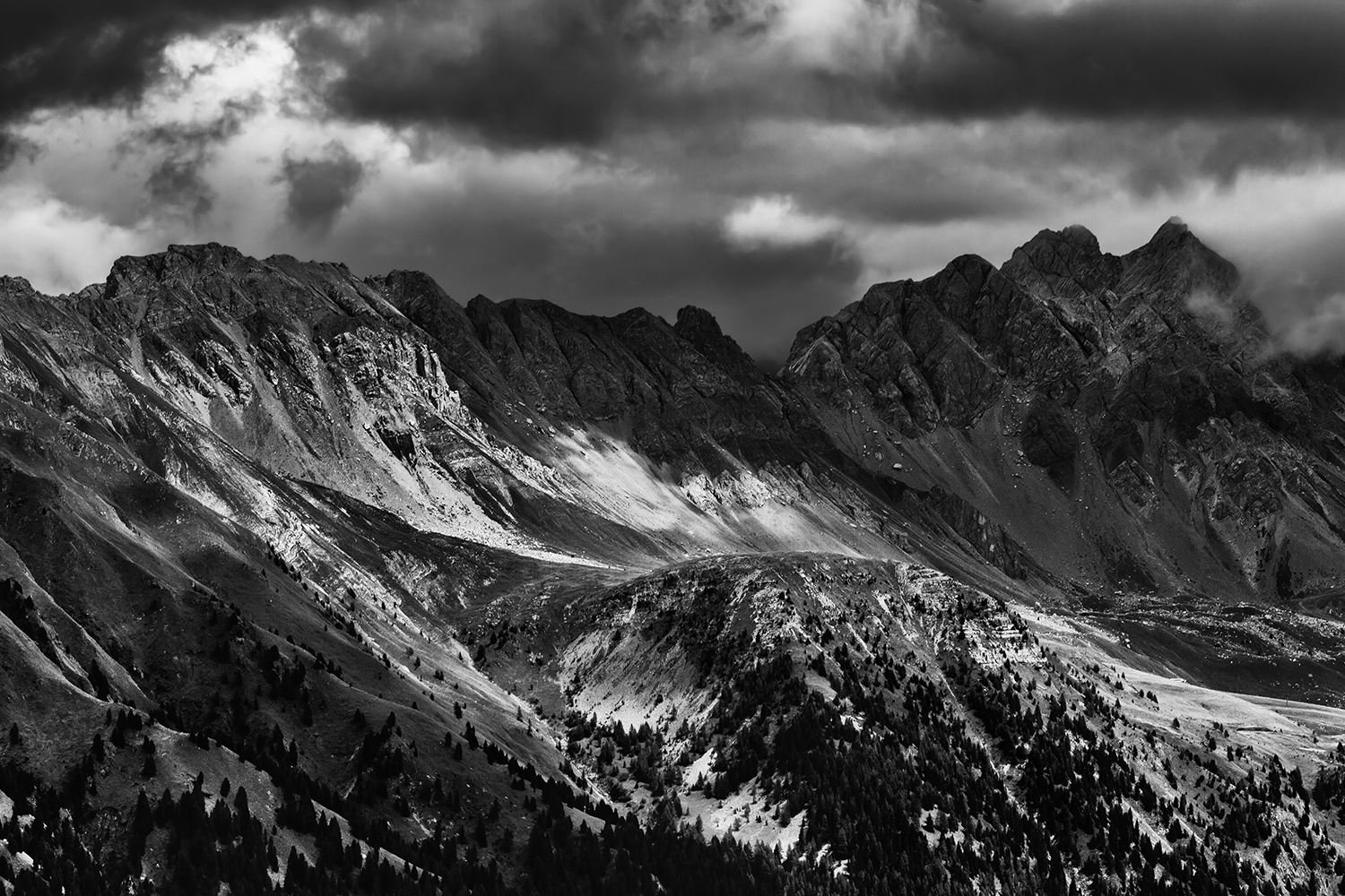 Pale of San Martino III