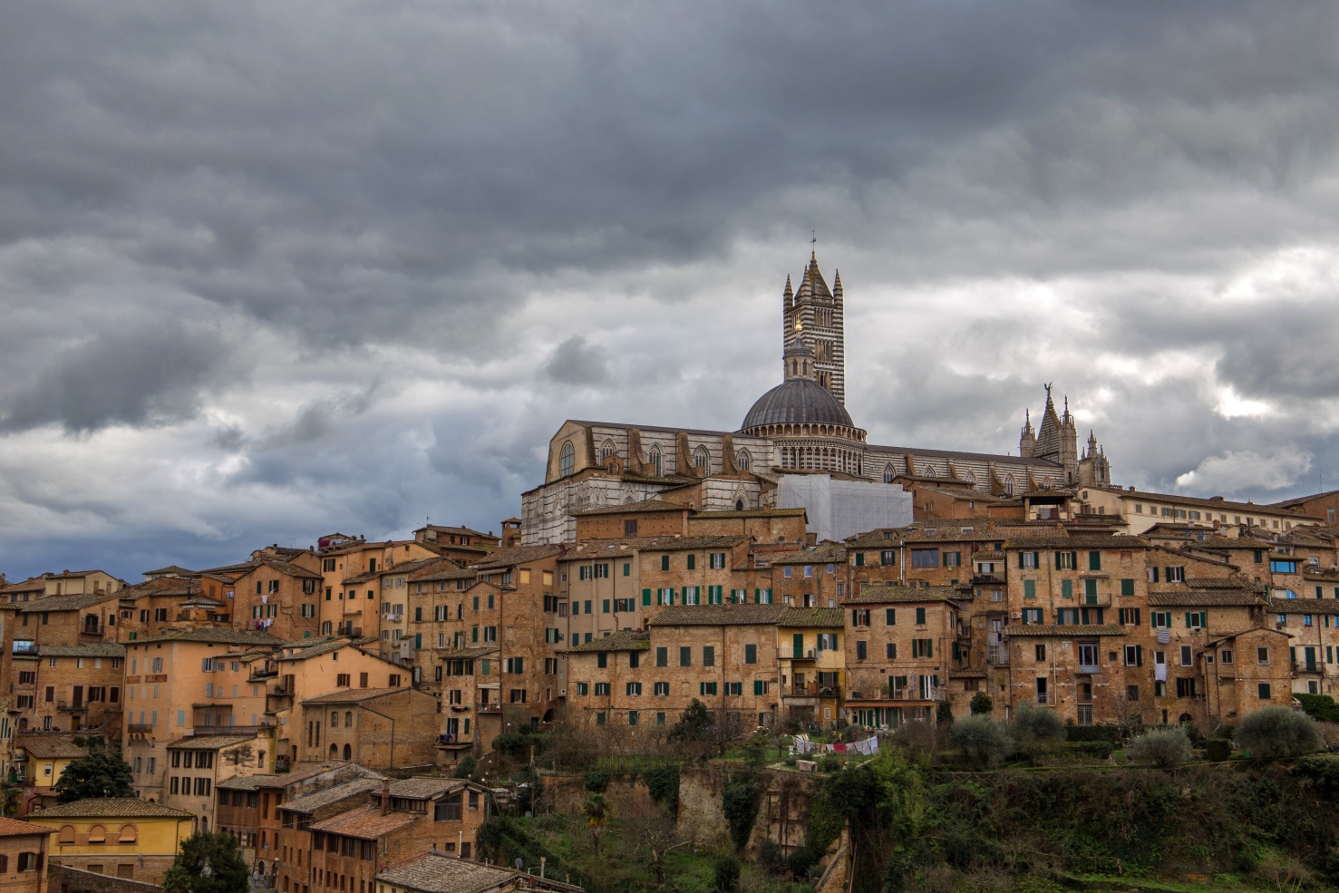 Siena