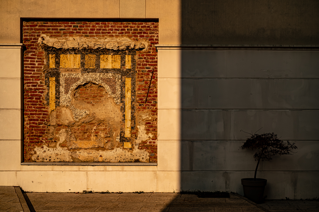 Muro