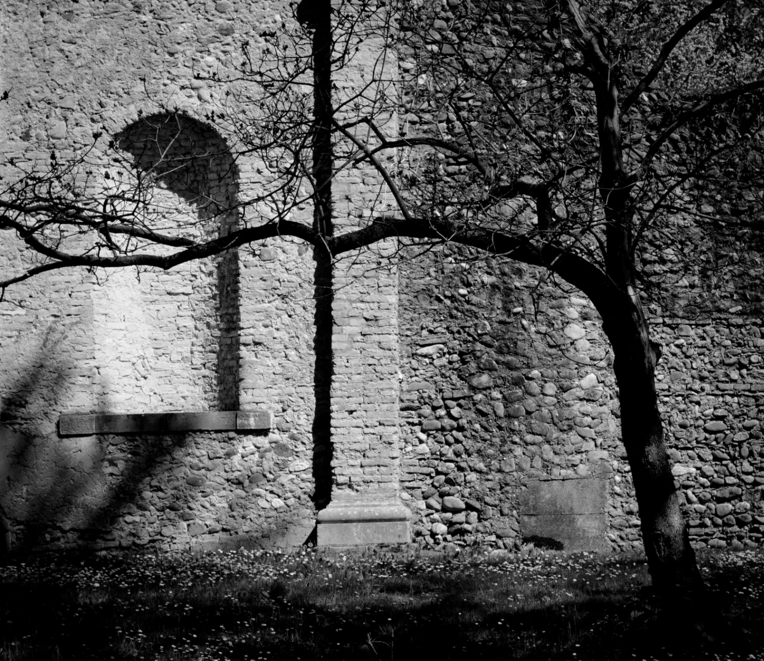 Il muro di Villa Manin