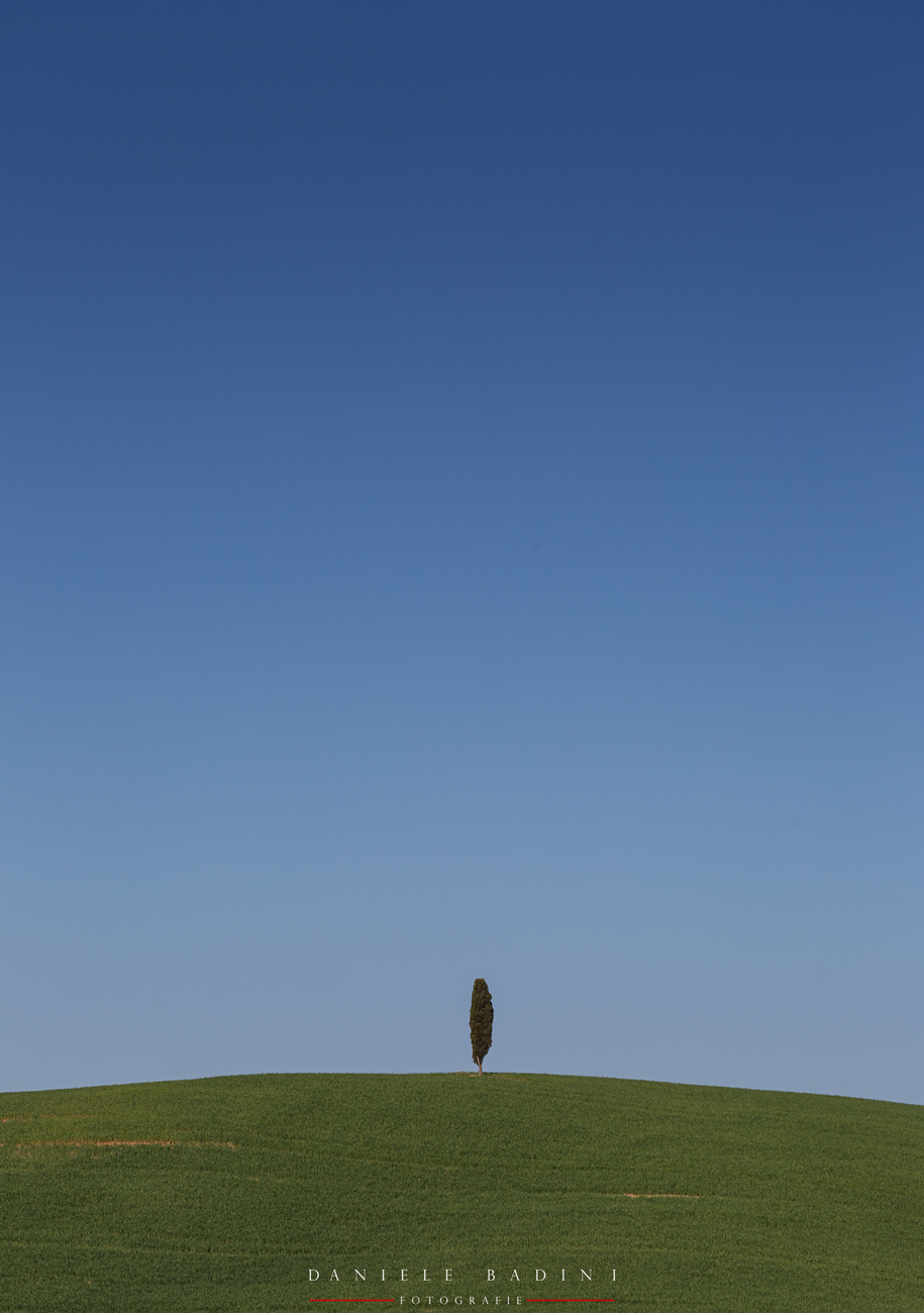 solito solitario solo