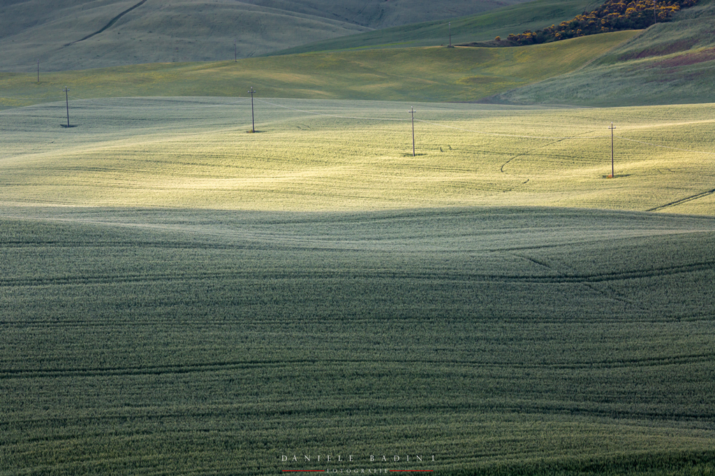 onde e pali