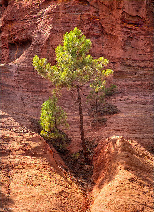 Roussillon