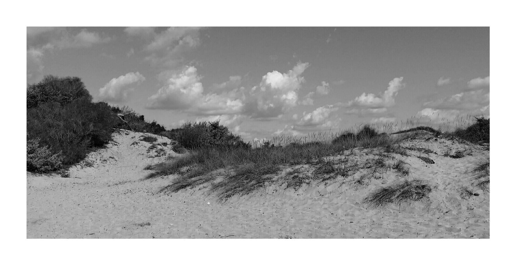 Dune 2..