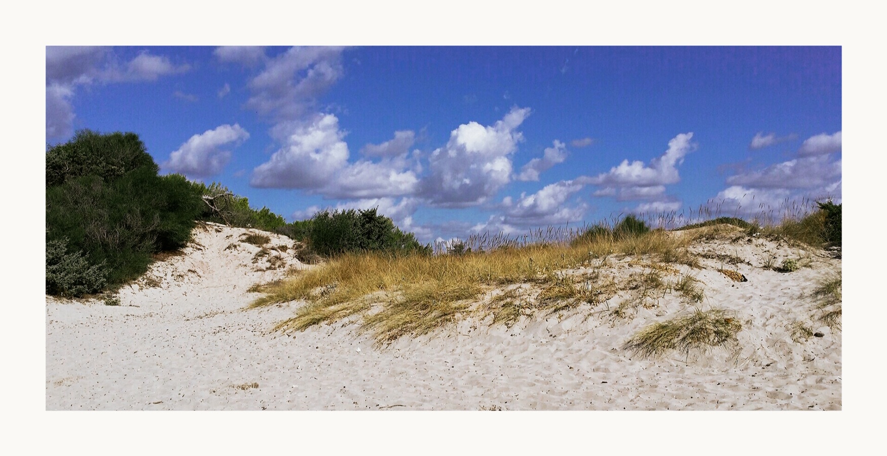 Dune...