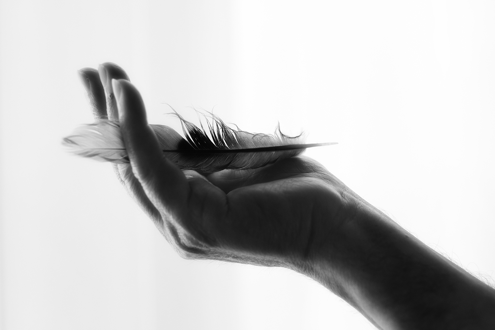 Lightness