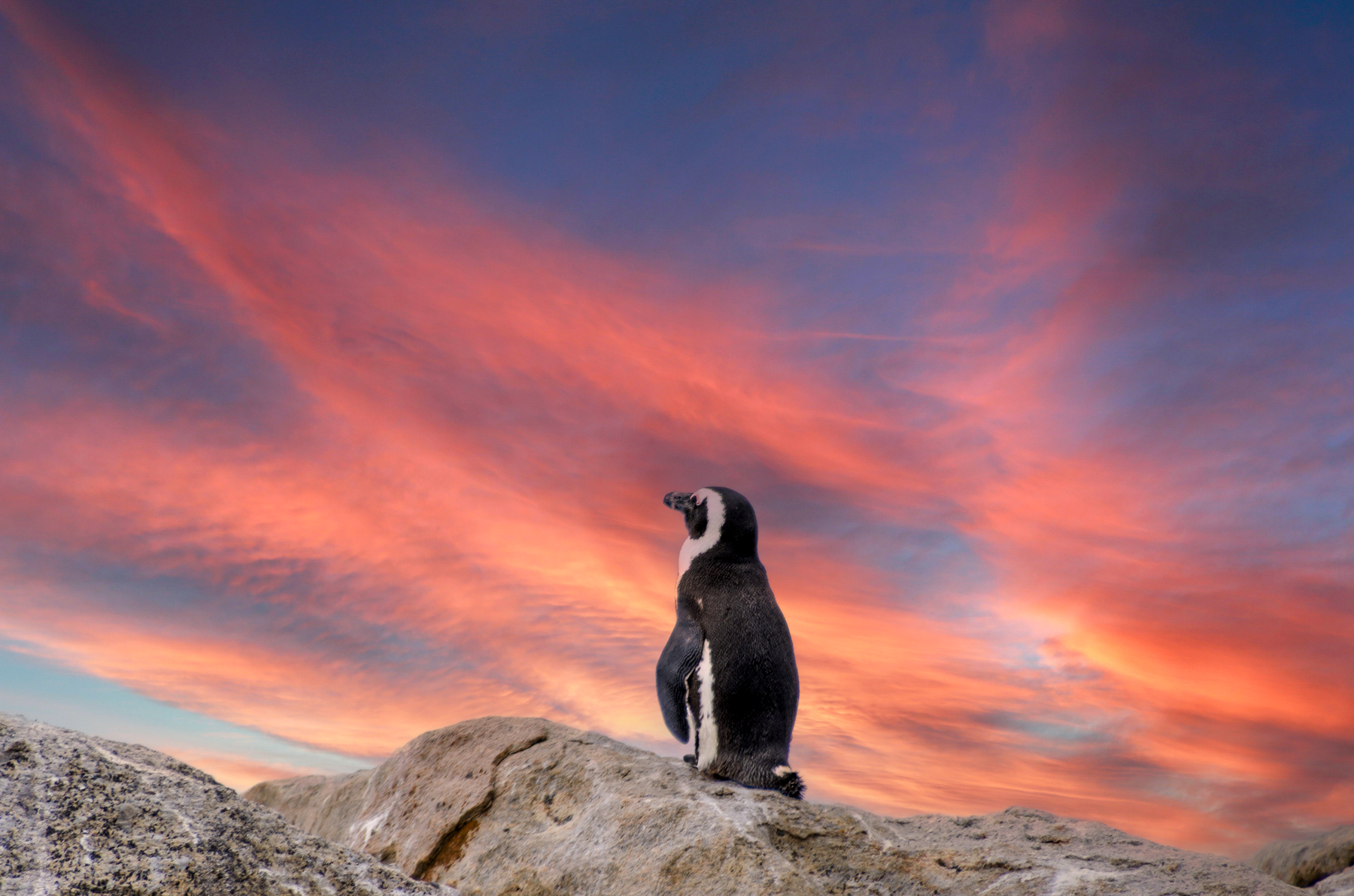 Osservando il tramonto