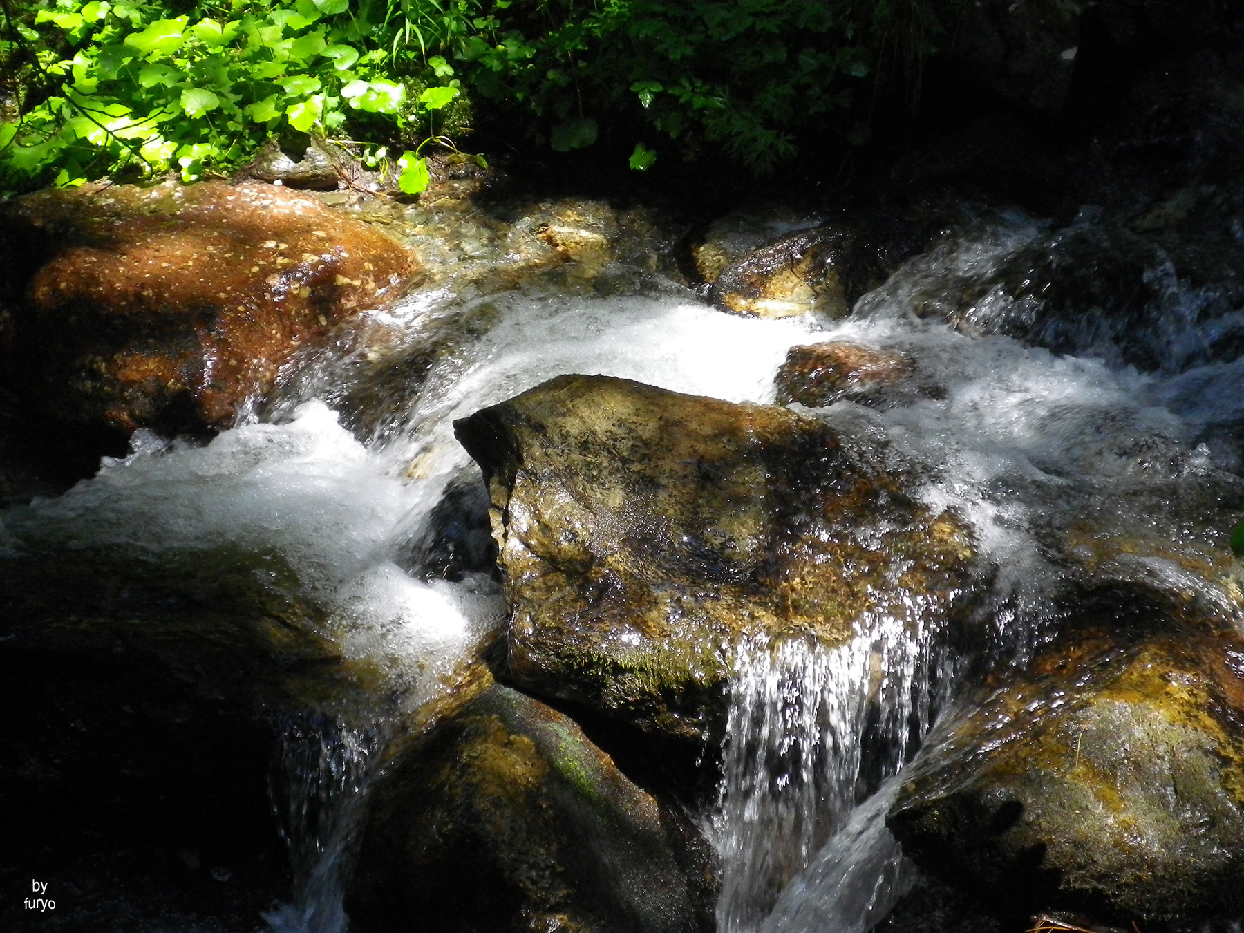 Rio Sesto