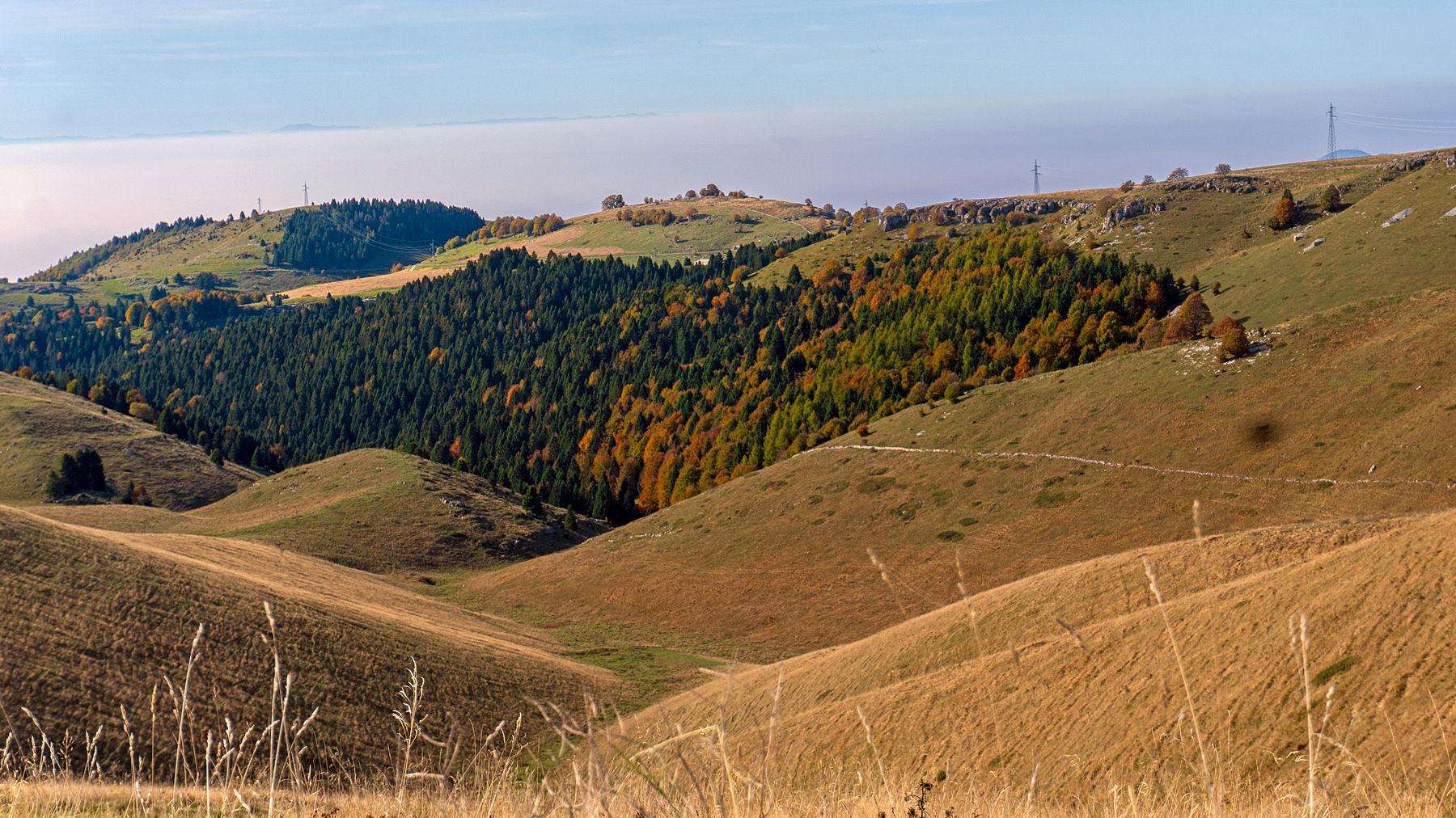 I colori dell'autunno