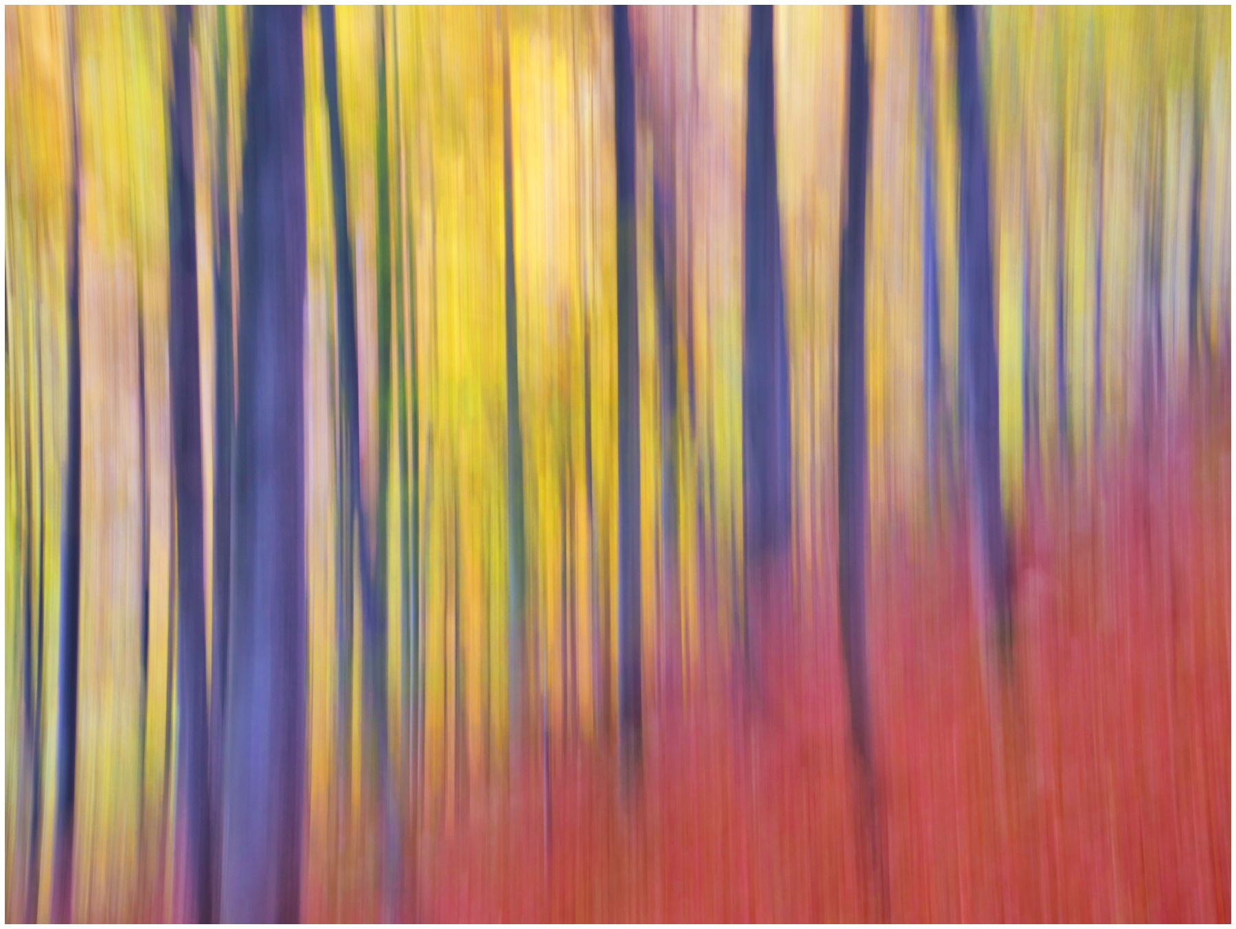 mosso creativo autunnale