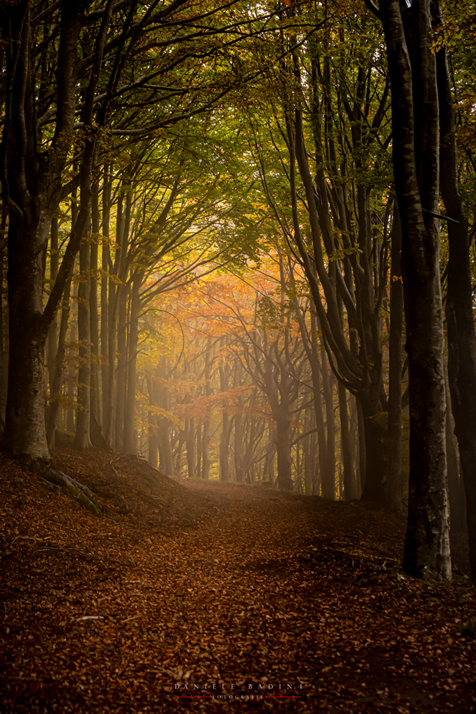 Autunno