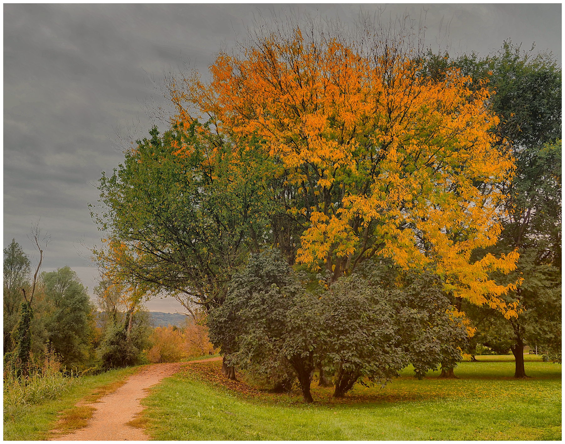 Autunno al Parco Retrone