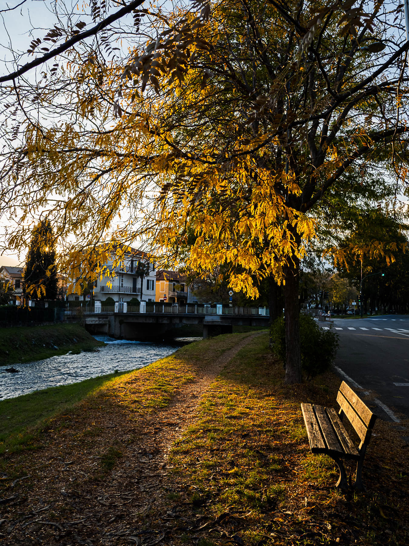 The bench