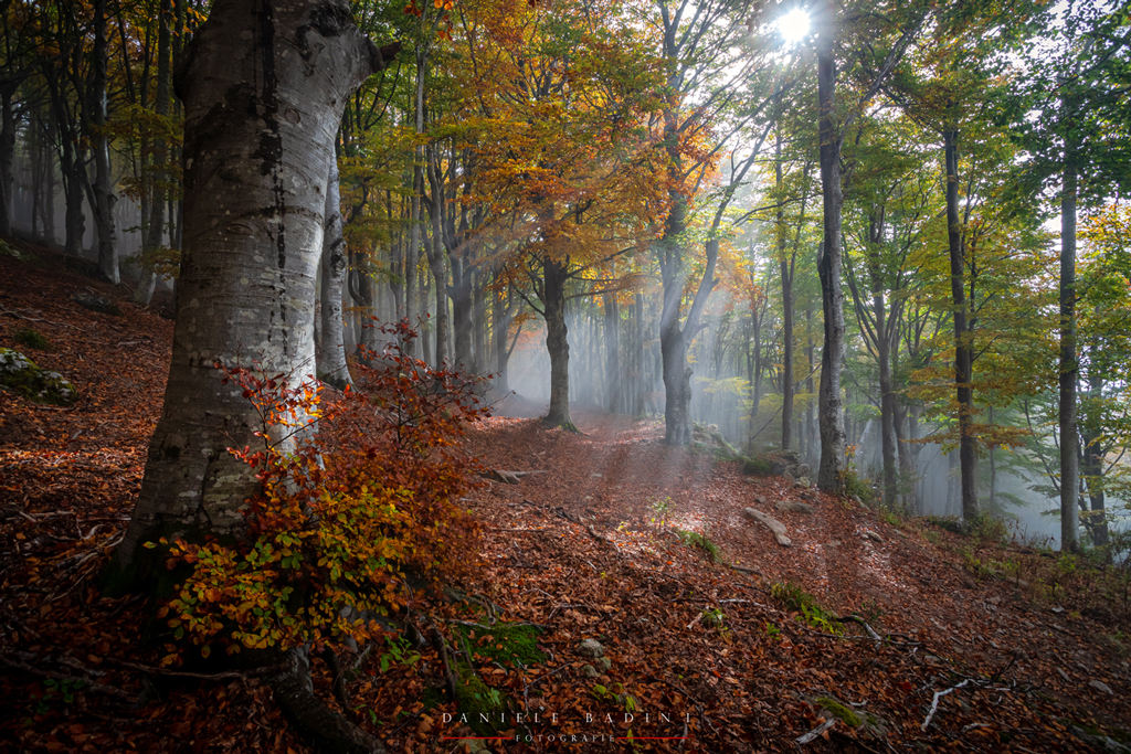 Autunno 100%