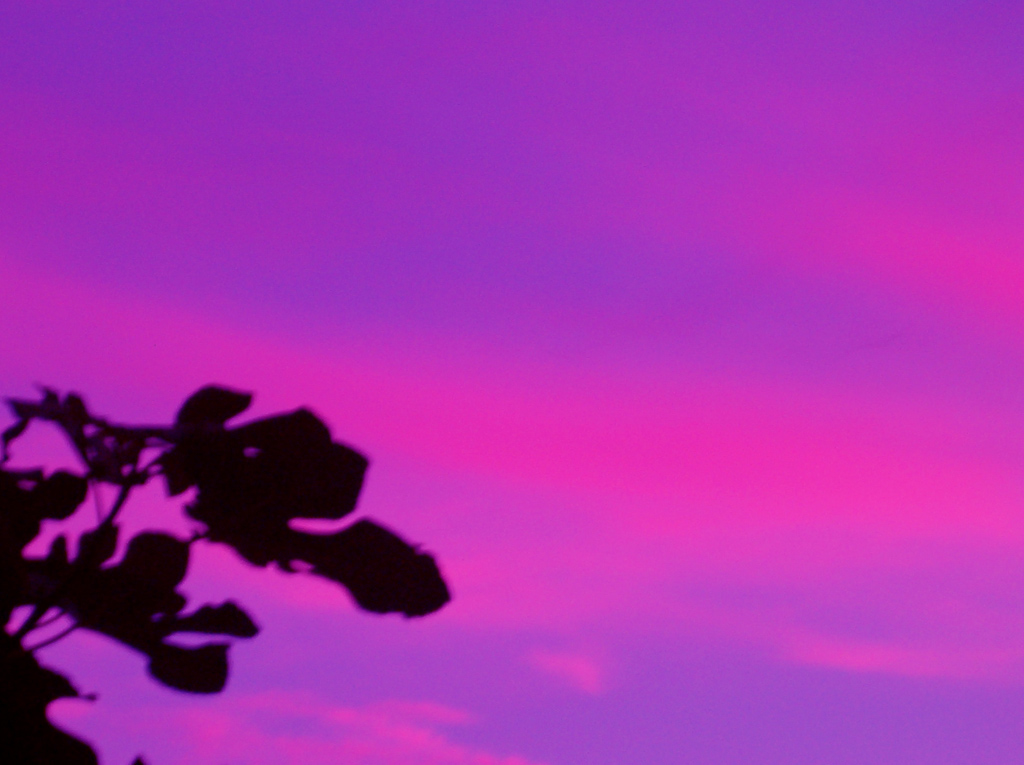 Cielo rosso