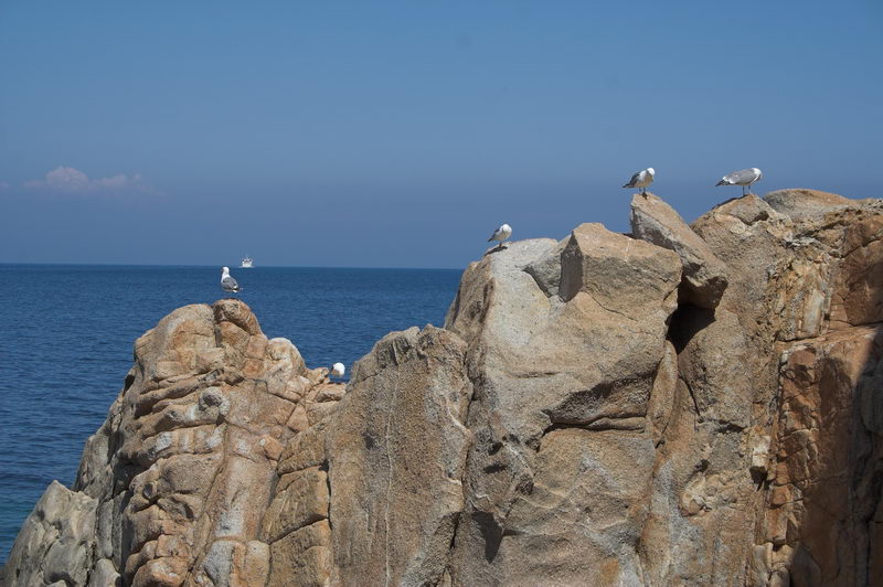 scoglio