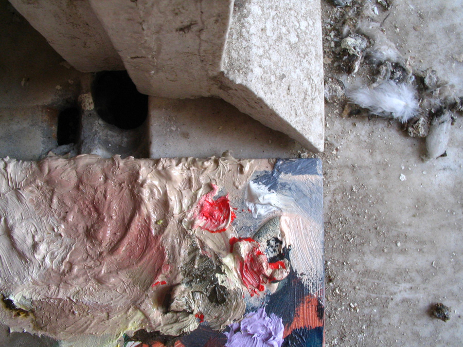 arte e guano