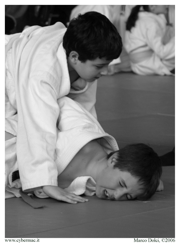 judo33