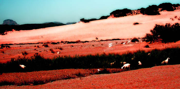 deserto