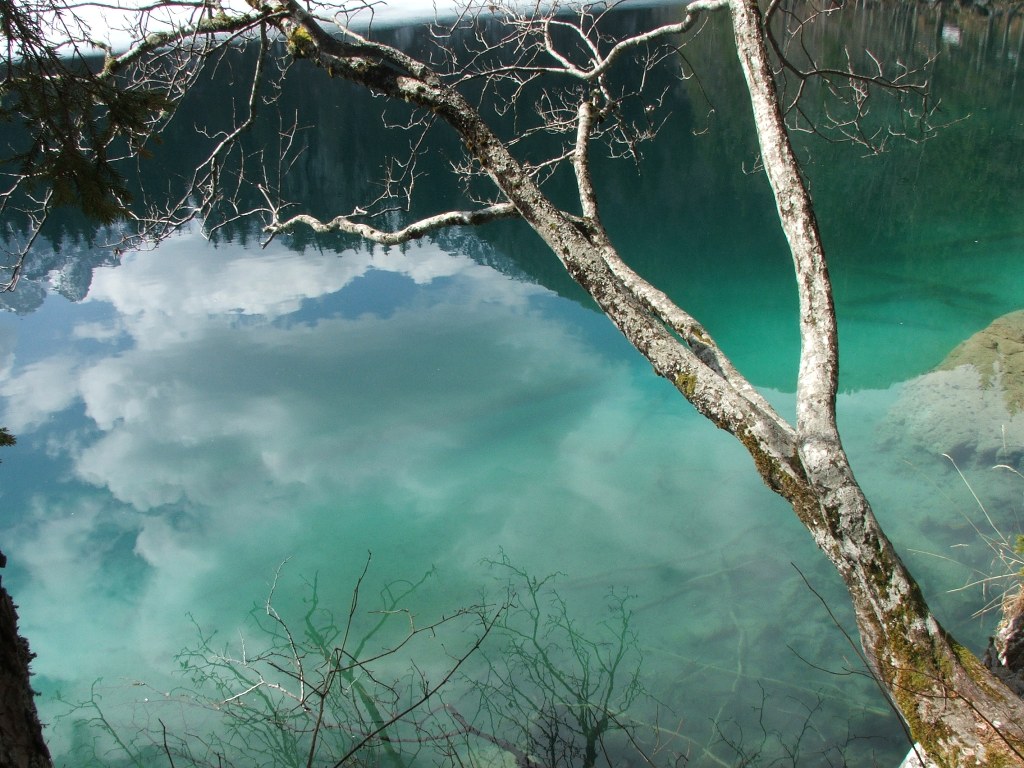 verde acqua