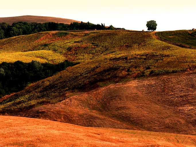 Paesaggi toscani n.100