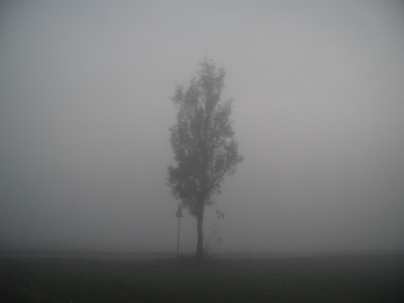 nebbia