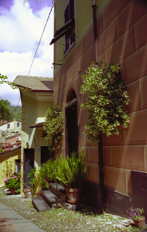 Creuze a Portofino