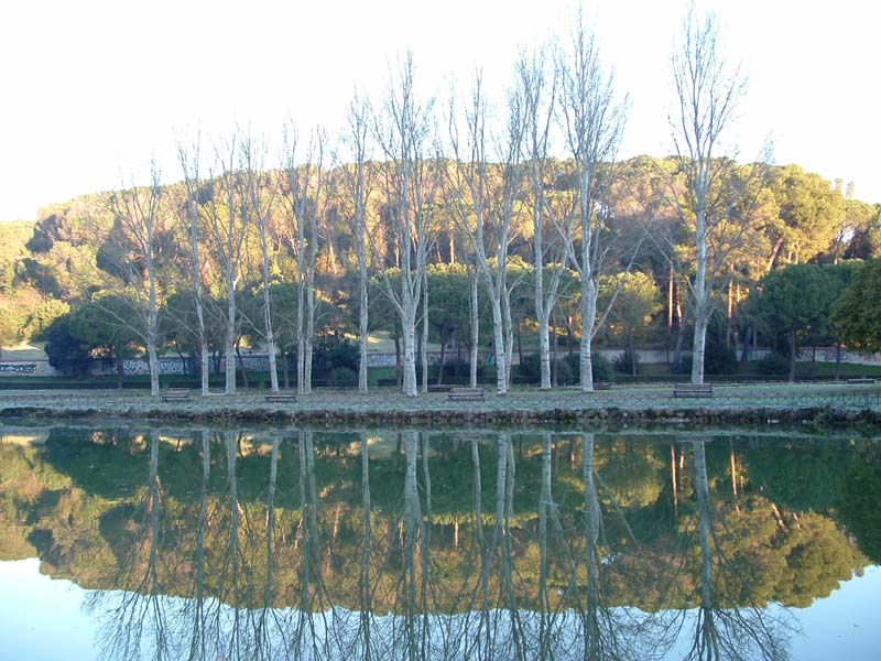 villa Ada 2