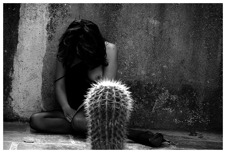 ...il potere del cactus