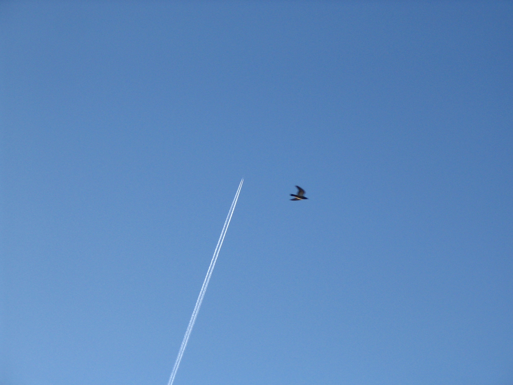 Up to the Sky