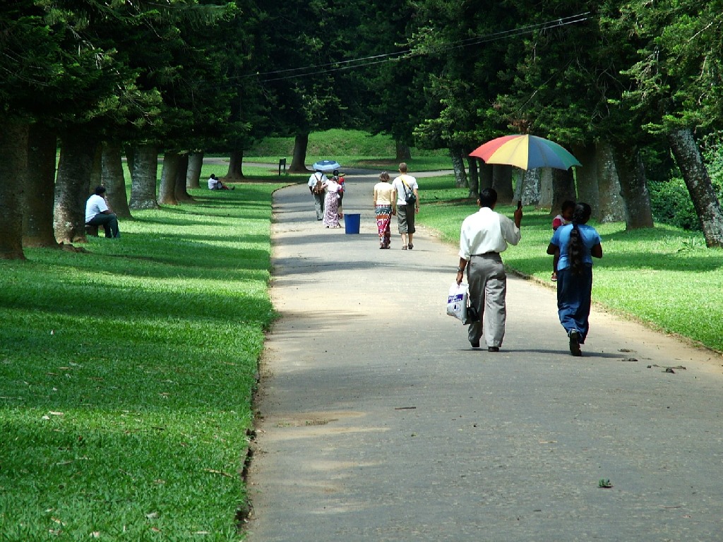 giardino botanico