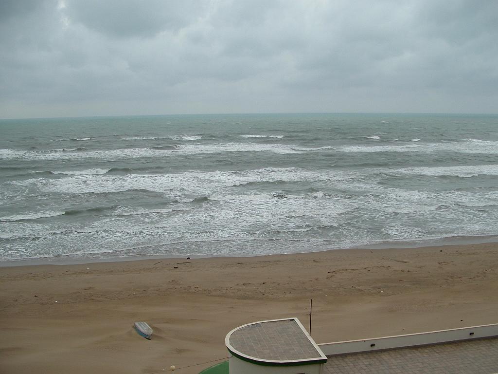 mare