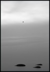 il viaggio - 2006 il viaggio - 2006