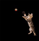 vado a berlino!!!!!!!!! vado a berlino!!!!!!!!!