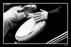 djembe djembe