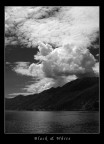Black & White Black & White