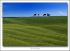 Siena Siena