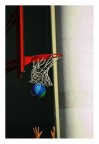 Basket Basket