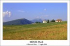 Monte Pale! Monte Pale!
