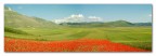 Castelluccio in panoramica Castelluccio in panoramica