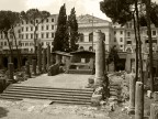 Largo Argentina (Roma)! Largo Argentina (Roma)!