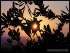 Sole Nascosto.. Sole Nascosto..