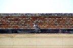 stratificazione stratificazione