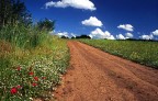 Verso la primavera Verso la primavera