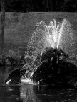 fontana BW - parco Udine fontana BW - parco Udine