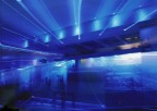 Into the Blu Into the Blu