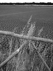 Pentacon Six, 80mm; TMAX 100