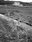 Pentacon Six, 50mm; TMAX 100