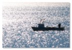 riflessi riflessi
